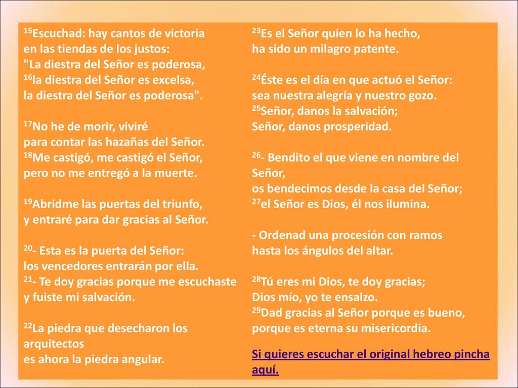 15Escuchad: hay cantos de victoria en las tiendas de los justos: La diestra del Señor es poderosa, 16la diestra del Señor es excelsa, la diestra del Señor es poderosa . 17No he de morir, viviré para contar las hazañas del Señor. 18Me castigó, me castigó el Señor, pero no me entregó a la muerte. 19Abridme las puertas del triunfo, y entraré para dar gracias al Señor. 20- Esta es la puerta del Señor: los vencedores entrarán por ella. 21- Te doy gracias porque me escuchaste y fuiste mi salvación.