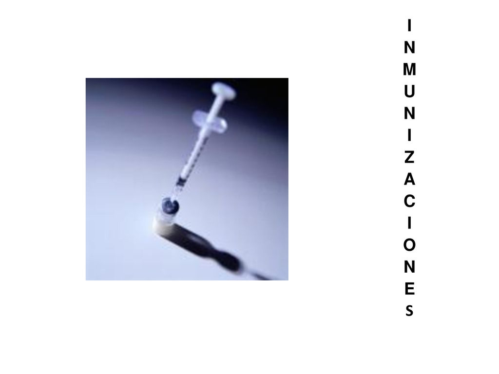 I N M U Z A C O E S