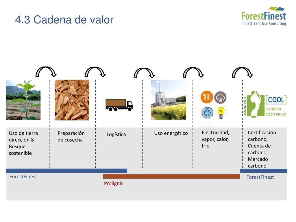 4.3 Cadena de valor Uso de tierra dirección & Bosque sostenible