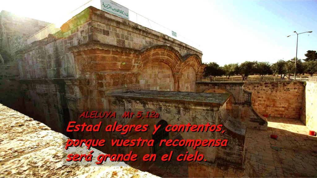 ALELUYA Mt 5,12a Estad alegres y contentos, porque vuestra recompensa será grande en el cielo.