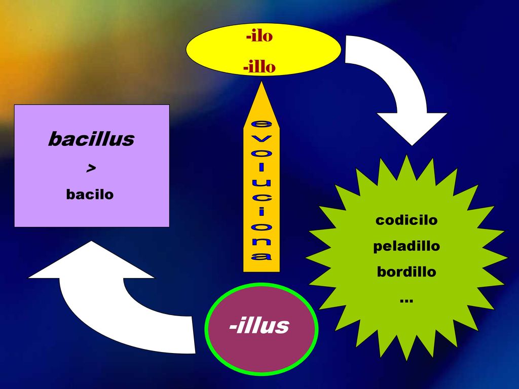 -illus bacillus -ilo -illo > bacilo codicilo peladillo bordillo …