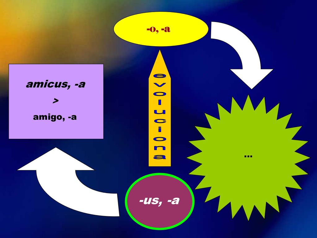 -o, -a … evoluciona amicus, -a > amigo, -a -us, -a