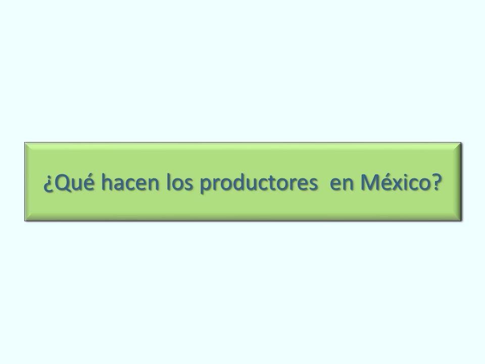 ¿Qué hacen los productores en México