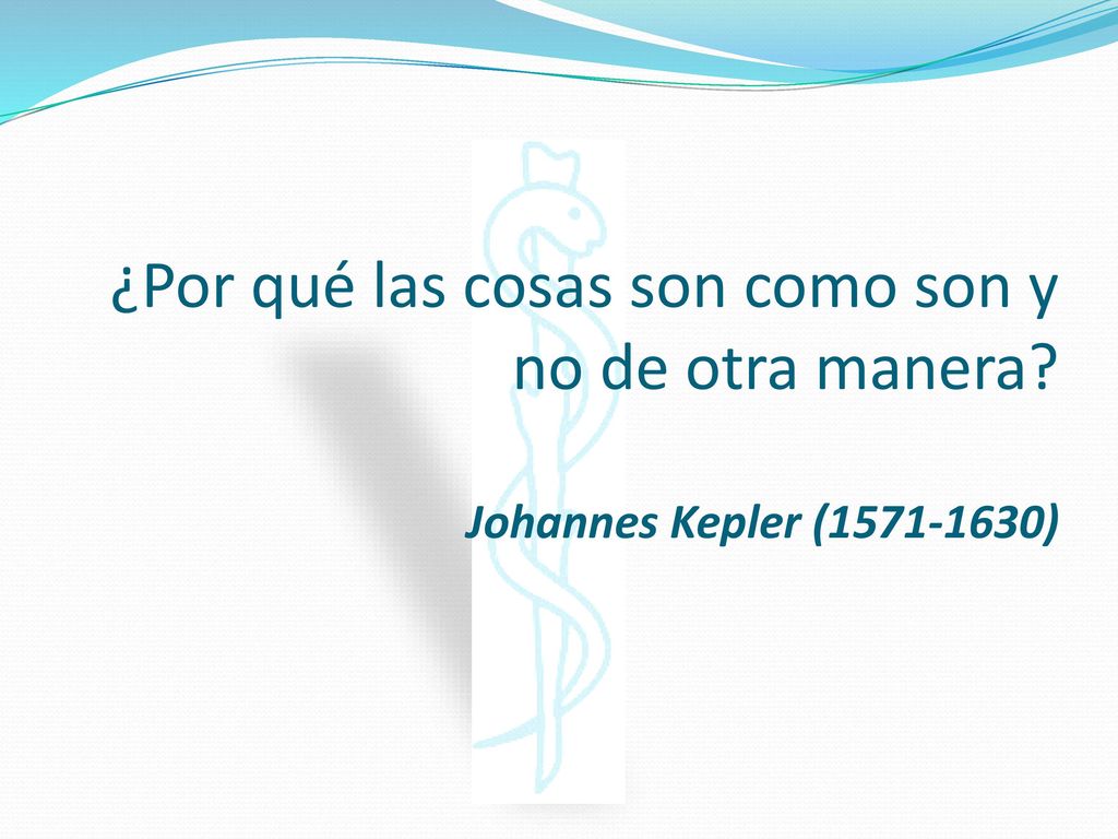 ¿Por qué las cosas son como son y no de otra manera