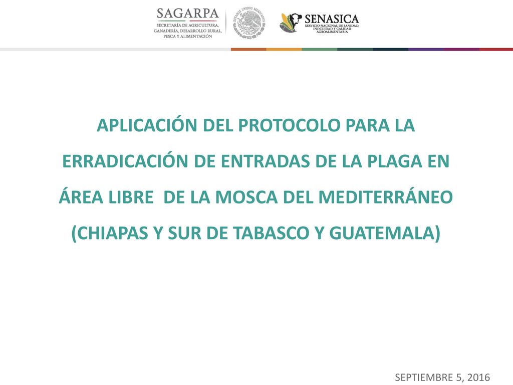 APLICACIÓN DEL PROTOCOLO PARA LA ERRADICACIÓN DE ENTRADAS DE LA PLAGA EN ÁREA LIBRE DE LA MOSCA DEL MEDITERRÁNEO (CHIAPAS Y SUR DE TABASCO Y GUATEMALA)