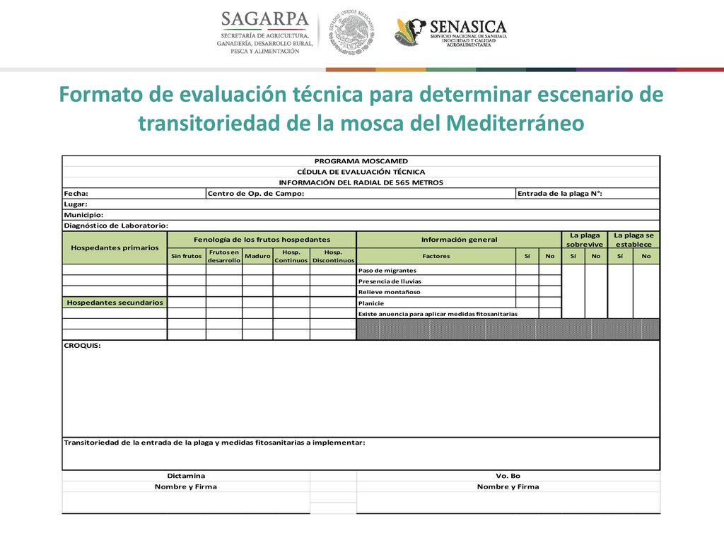 Formato de evaluación técnica para determinar escenario de transitoriedad de la mosca del Mediterráneo