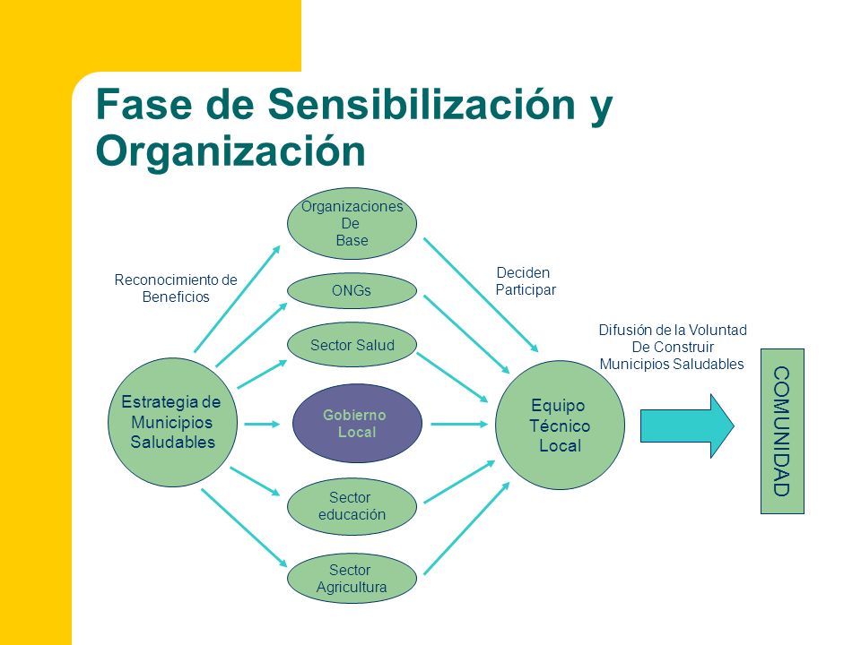 Fase de Sensibilización y Organización