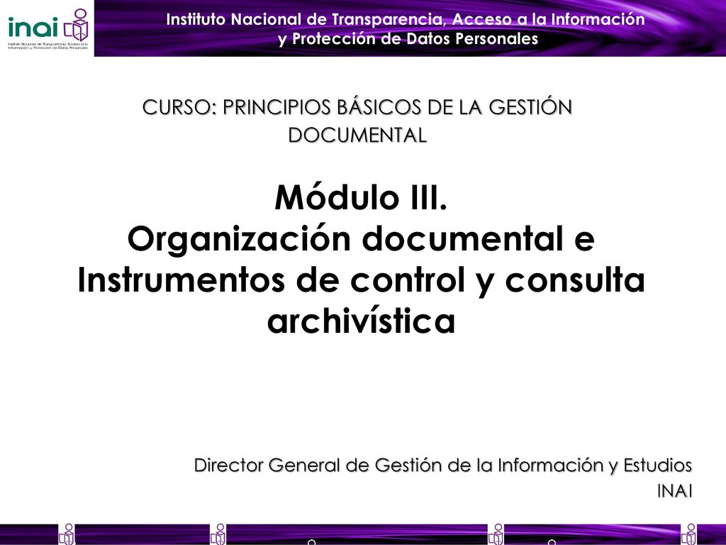 Director General de Gestión de la Información y Estudios INAI