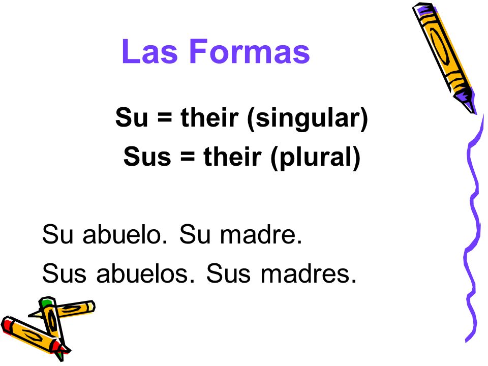 Las Formas Su = their (singular) Sus = their (plural)