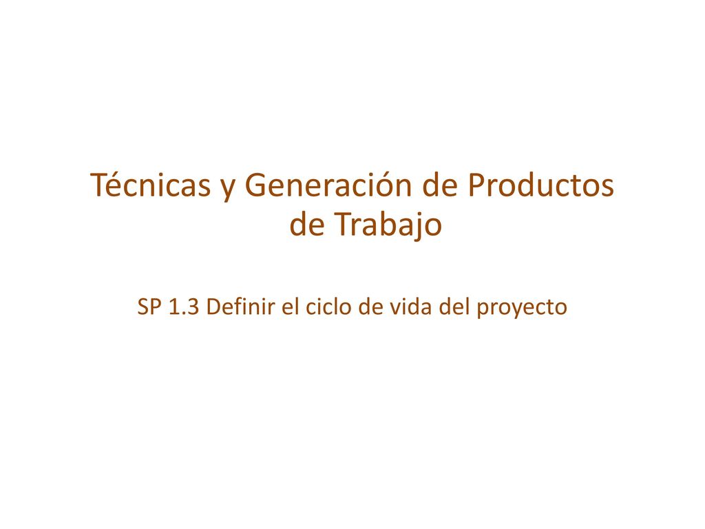 Técnicas y Generación de Productos de Trabajo