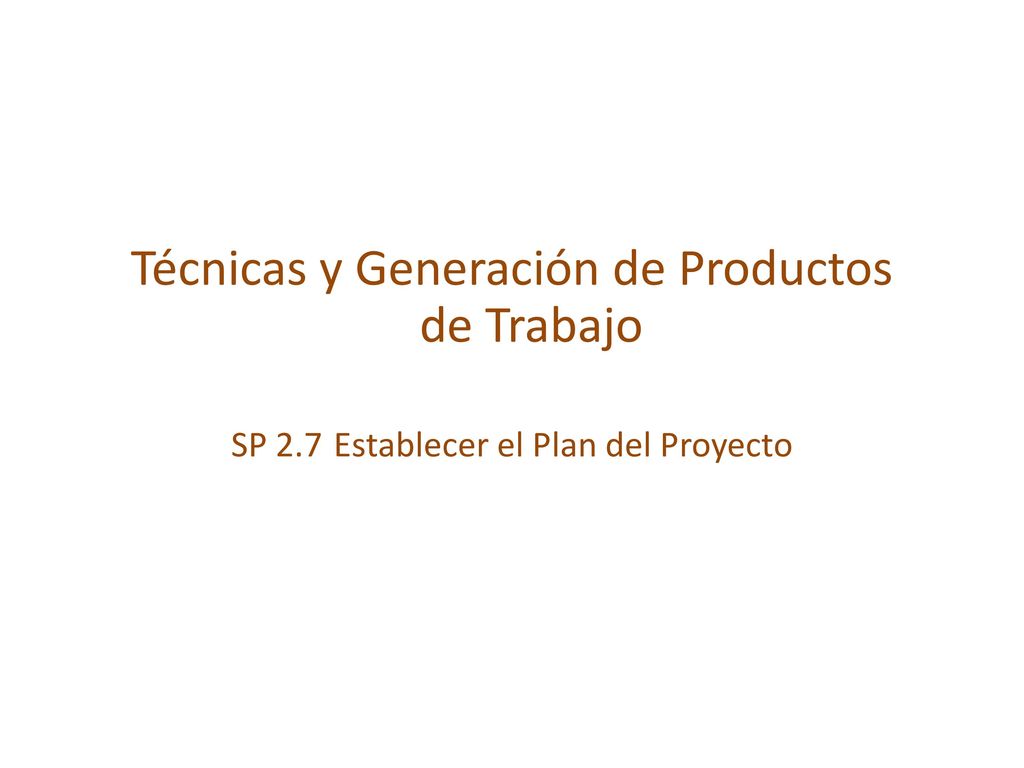 Técnicas y Generación de Productos de Trabajo