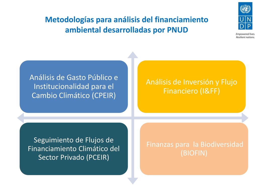 Metodologías para análisis del financiamiento ambiental desarrolladas por PNUD
