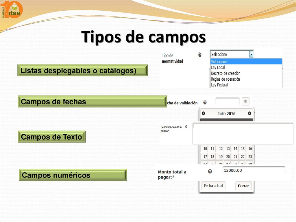 Tipos de campos Listas desplegables o catálogos) Campos de fechas