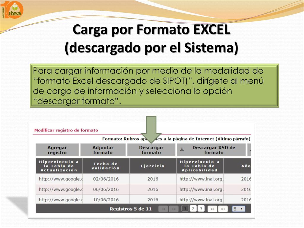 Carga por Formato EXCEL (descargado por el Sistema)