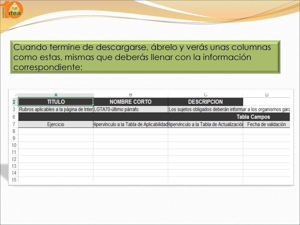 Cuando termine de descargarse, ábrelo y verás unas columnas como estas, mismas que deberás llenar con la información correspondiente: