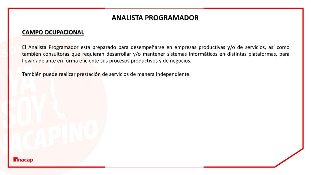 ANALISTA PROGRAMADOR CAMPO OCUPACIONAL