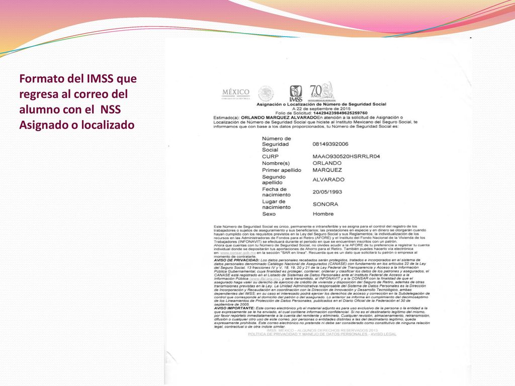 Formato del IMSS que regresa al correo del alumno con el NSS Asignado o localizado