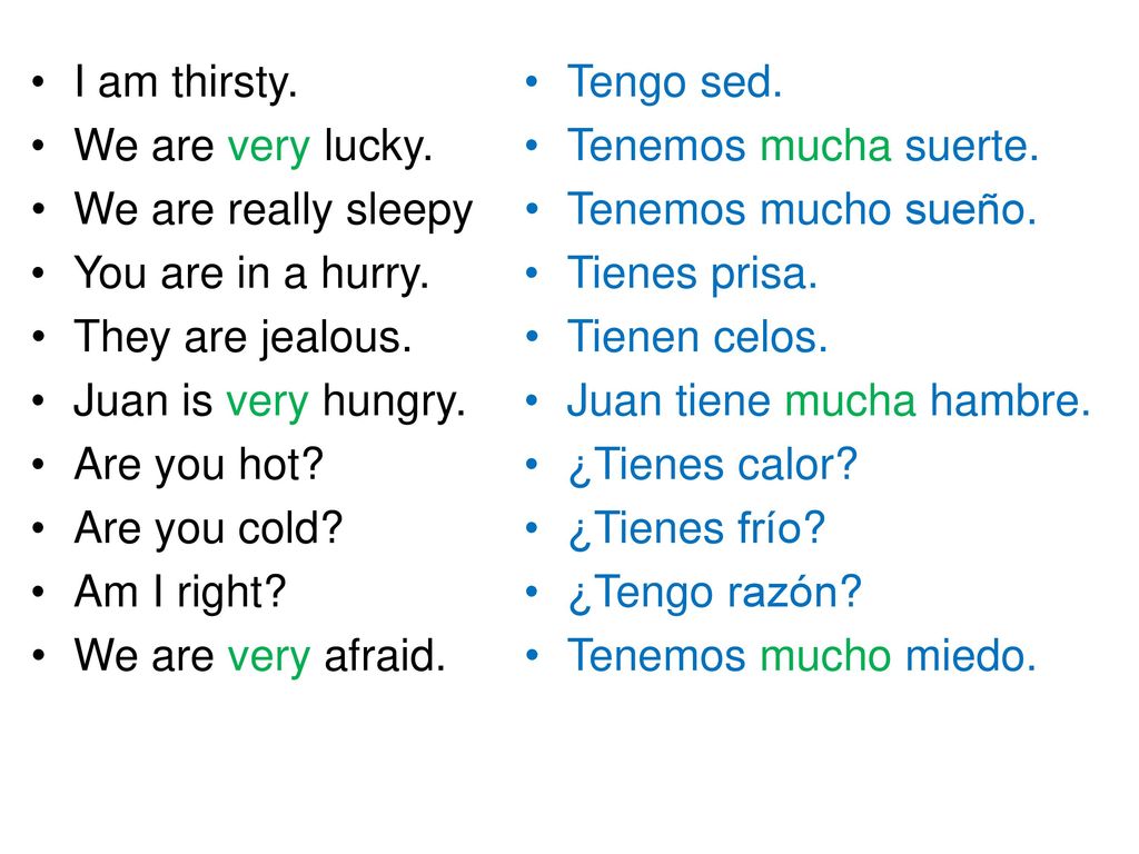 I am thirsty. We are very lucky. We are really sleepy. You are in a hurry. They are jealous. Juan is very hungry.