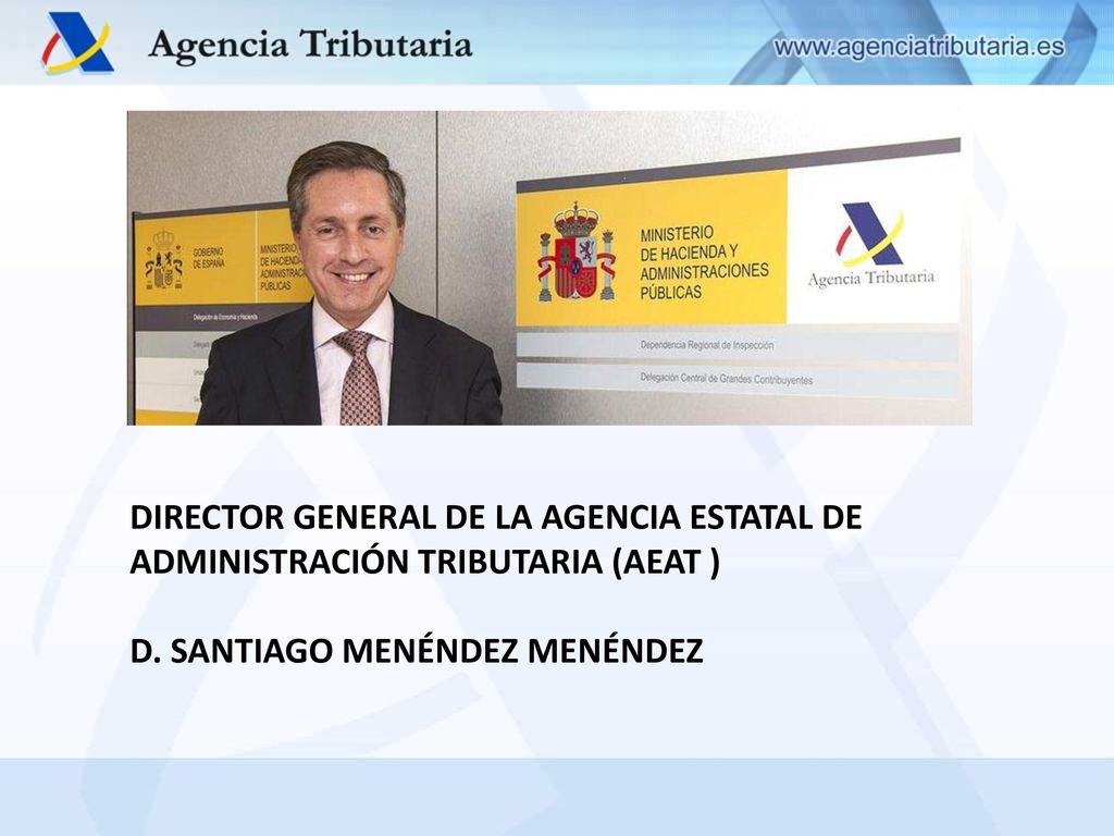 DIRECTOR GENERAL DE LA AGENCIA ESTATAL DE ADMINISTRACIÓN TRIBUTARIA (AEAT )