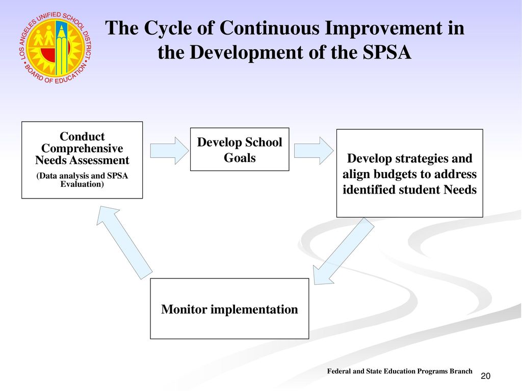 The Cycle of Continuous Improvement in the Development of the SPSA