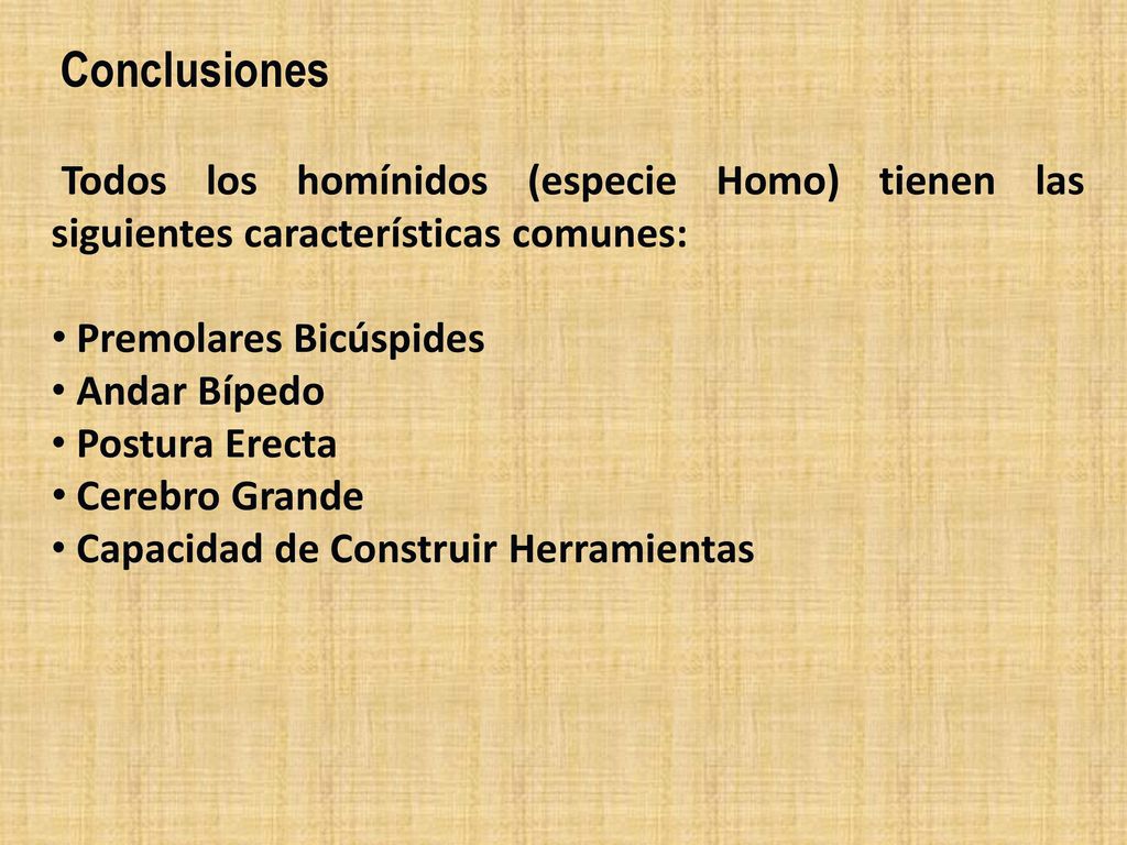 Conclusiones Todos los homínidos (especie Homo) tienen las siguientes características comunes: Premolares Bicúspides.