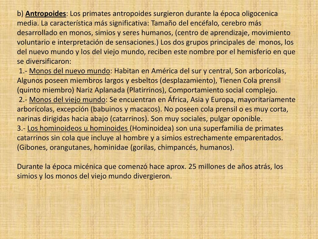 b) Antropoides: Los primates antropoides surgieron durante la época oligocenica media. La característica más significativa: Tamaño del encéfalo, cerebro más desarrollado en monos, simios y seres humanos, (centro de aprendizaje, movimiento voluntario e interpretación de sensaciones.) Los dos grupos principales de monos, los del nuevo mundo y los del viejo mundo, reciben este nombre por el hemisferio en que se diversificaron: