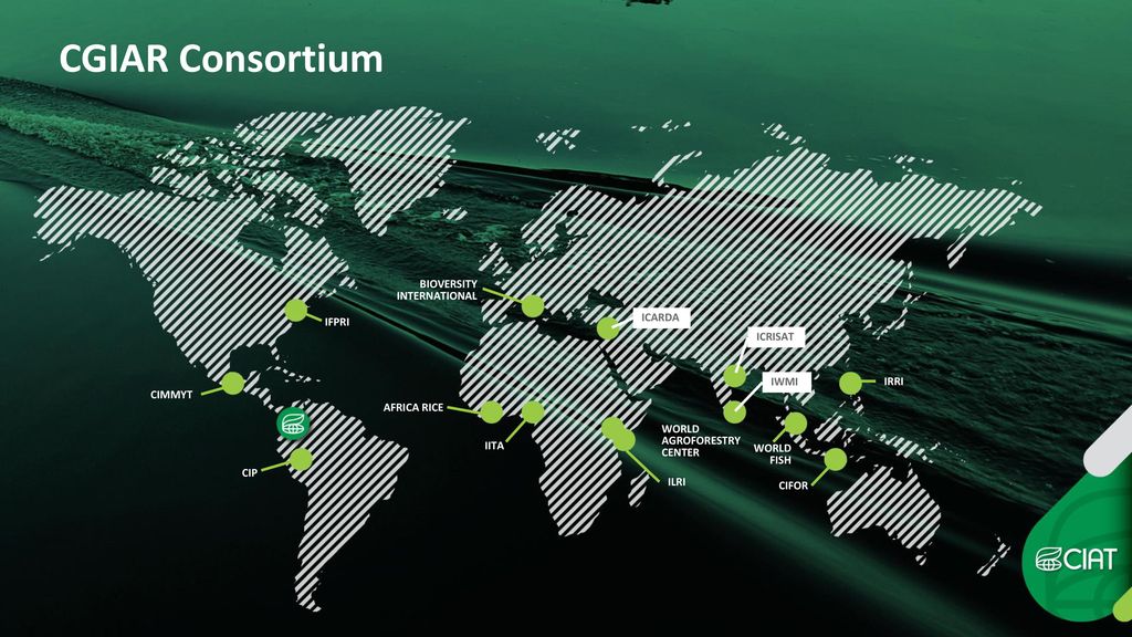 CGIAR Consortium BIOVERSITY INTERNATIONAL IFPRI ICARDA ICRISAT IWMI