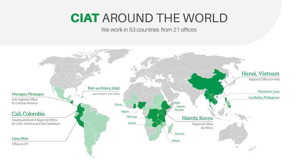 CIAT Fundado en 1967 en Cali 250 científicos Opera en tres regiones: