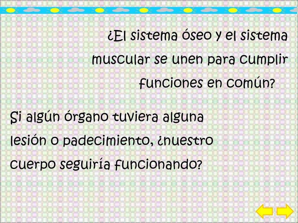 ¿El sistema óseo y el sistema muscular se unen para cumplir funciones en común