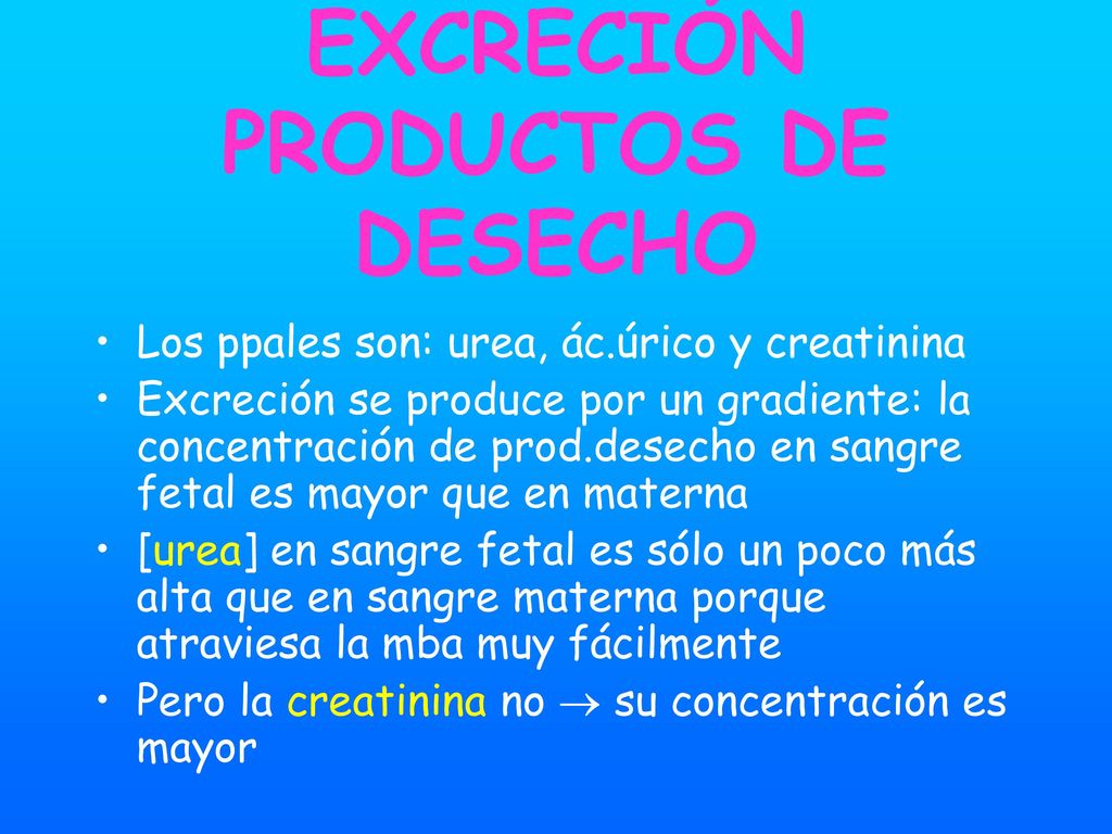 EXCRECIÓN PRODUCTOS DE DESECHO