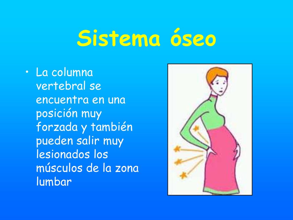 Sistema óseo La columna vertebral se encuentra en una posición muy forzada y también pueden salir muy lesionados los músculos de la zona lumbar.