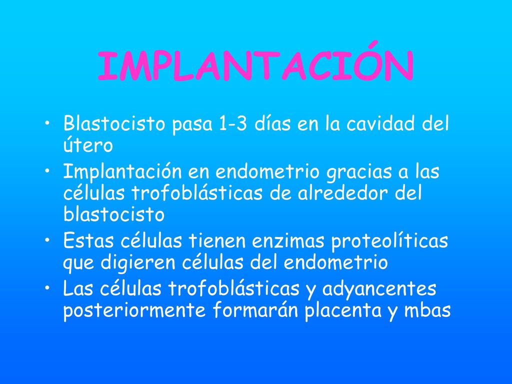 IMPLANTACIÓN Blastocisto pasa 1-3 días en la cavidad del útero