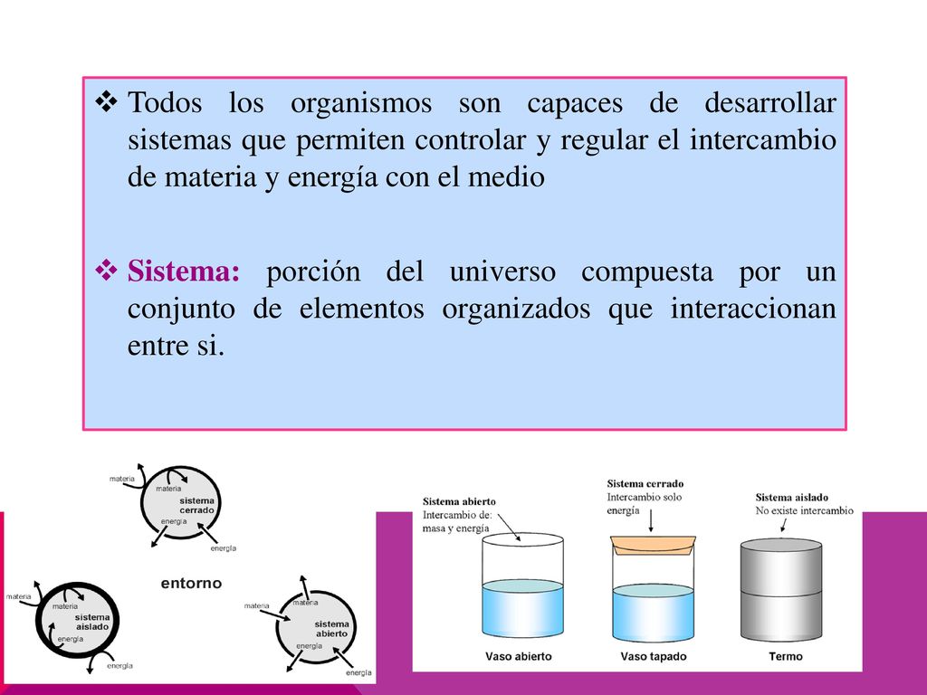 Todos los organismos son capaces de desarrollar sistemas que permiten controlar y regular el intercambio de materia y energía con el medio