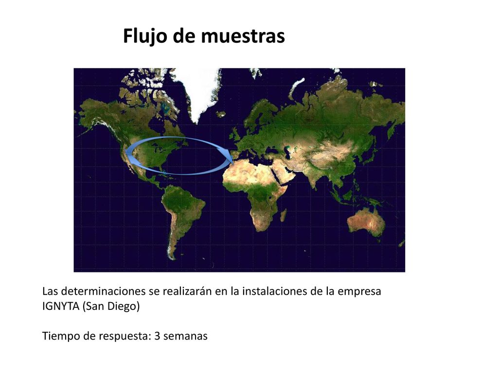 Flujo de muestras Las determinaciones se realizarán en la instalaciones de la empresa. IGNYTA (San Diego)