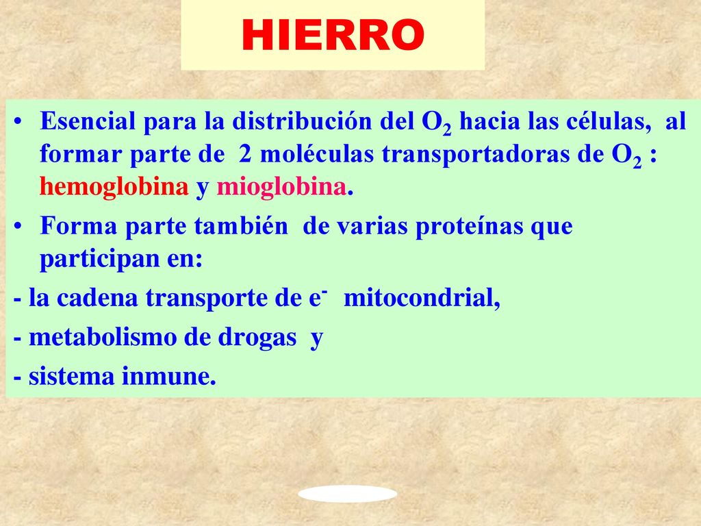 HIERRO Esencial para la distribución del O2 hacia las células, al formar parte de 2 moléculas transportadoras de O2 : hemoglobina y mioglobina.