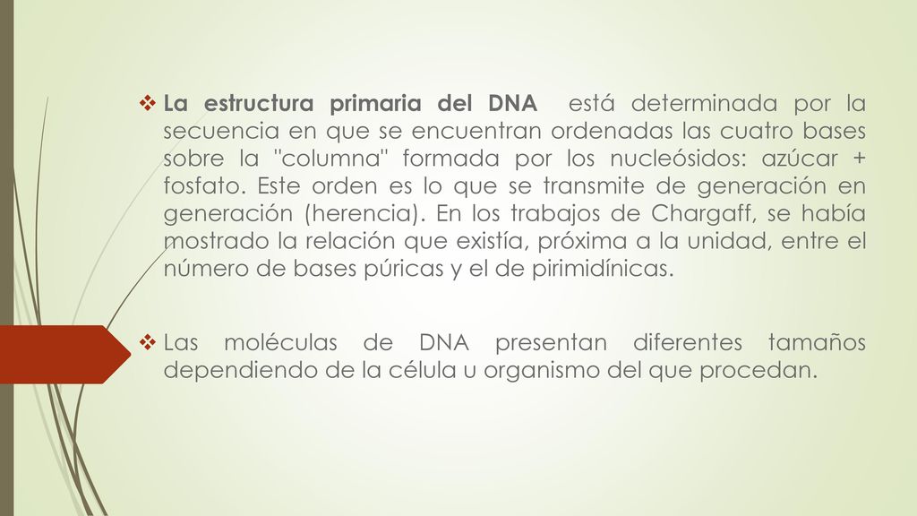 La estructura primaria del DNA está determinada por la secuencia en que se encuentran ordenadas las cuatro bases sobre la columna formada por los nucleósidos: azúcar + fosfato. Este orden es lo que se transmite de generación en generación (herencia). En los trabajos de Chargaff, se había mostrado la relación que existía, próxima a la unidad, entre el número de bases púricas y el de pirimidínicas.