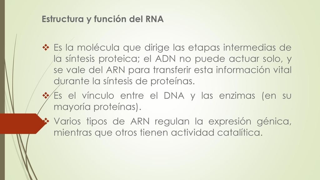 Es el vínculo entre el DNA y las enzimas (en su mayoría proteínas).