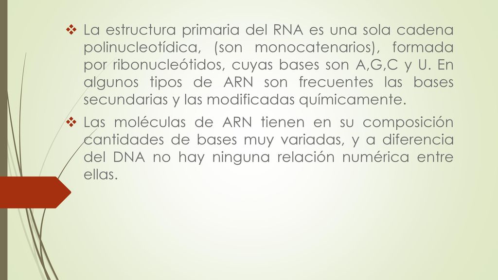 La estructura primaria del RNA es una sola cadena polinucleotídica, (son monocatenarios), formada por ribonucleótidos, cuyas bases son A,G,C y U. En algunos tipos de ARN son frecuentes las bases secundarias y las modificadas químicamente.