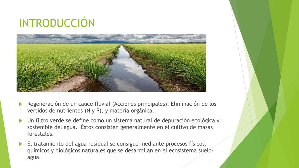 INTRODUCCIÓN Regeneración de un cauce fluvial (Acciones principales): Eliminación de los vertidos de nutrientes (N y P), y materia orgánica.