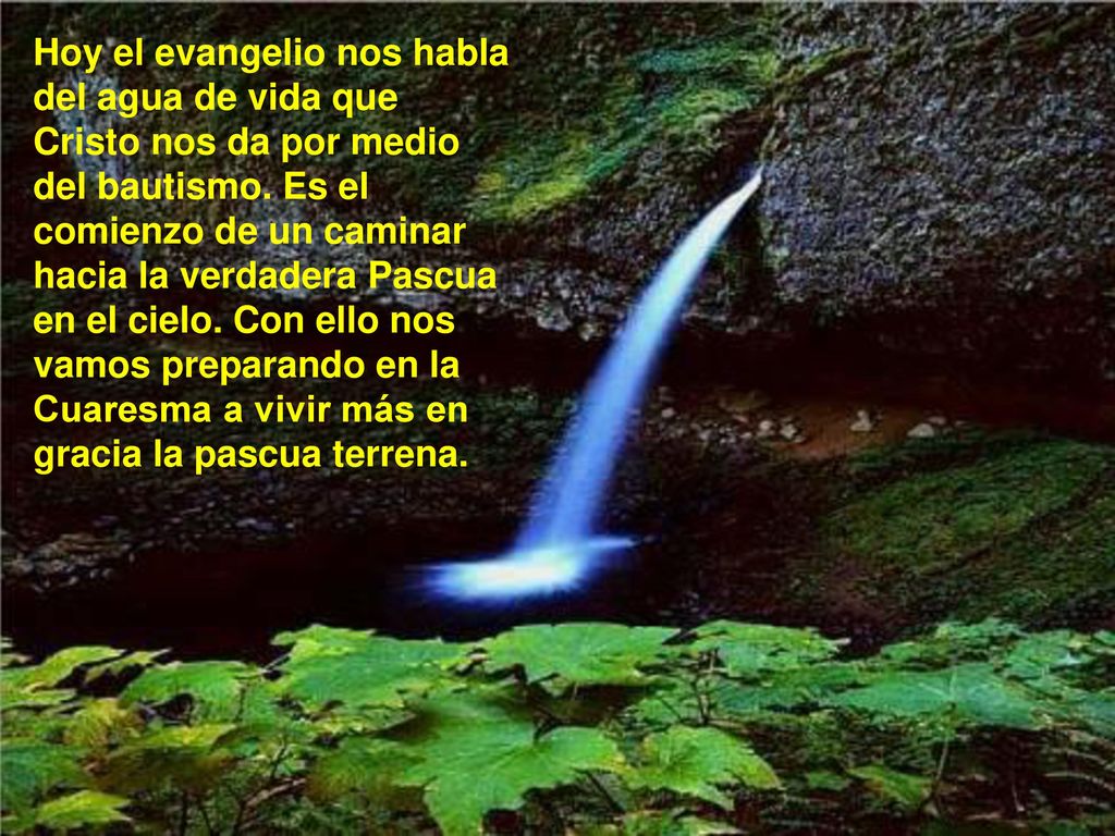 Hoy el evangelio nos habla del agua de vida que Cristo nos da por medio del bautismo.