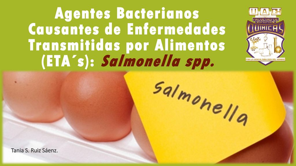 Agentes Bacterianos Causantes de Enfermedades Transmitidas por Alimentos (ETA´s): Salmonella spp.