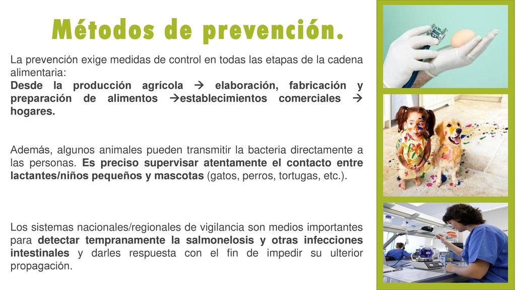 Métodos de prevención. La prevención exige medidas de control en todas las etapas de la cadena alimentaria:
