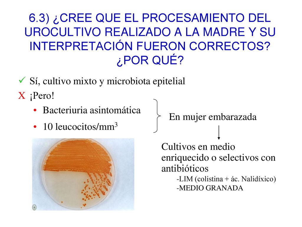 6.3) ¿CREE QUE EL PROCESAMIENTO DEL UROCULTIVO REALIZADO A LA MADRE Y SU INTERPRETACIÓN FUERON CORRECTOS ¿POR QUÉ