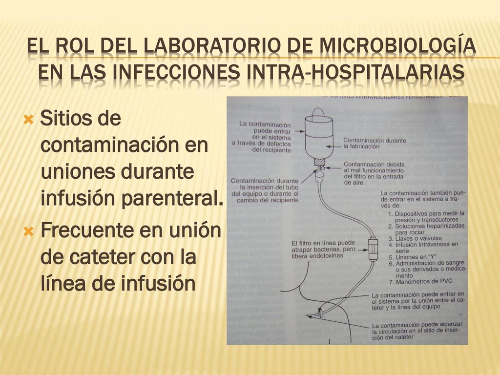 EL ROL DEL LABORATORIO DE MICROBIOLOGÍA en las infecciones intra-hospitalarias