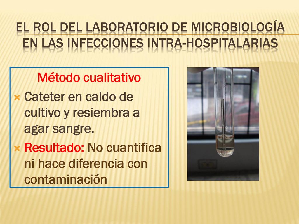 EL ROL DEL LABORATORIO DE MICROBIOLOGÍA en las infecciones intra-hospitalarias