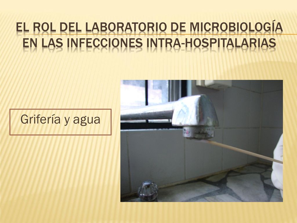 EL ROL DEL LABORATORIO DE MICROBIOLOGÍA en las infecciones intra-hospitalarias