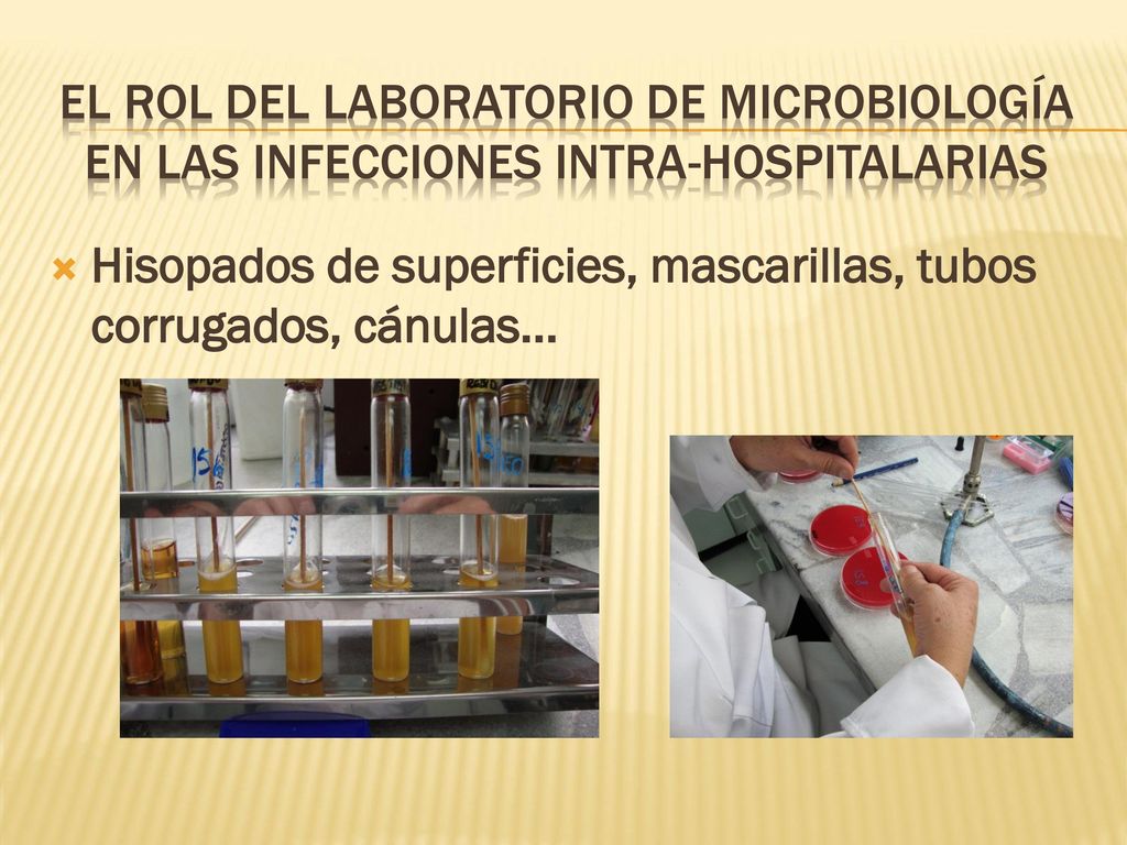 EL ROL DEL LABORATORIO DE MICROBIOLOGÍA en las infecciones intra-hospitalarias