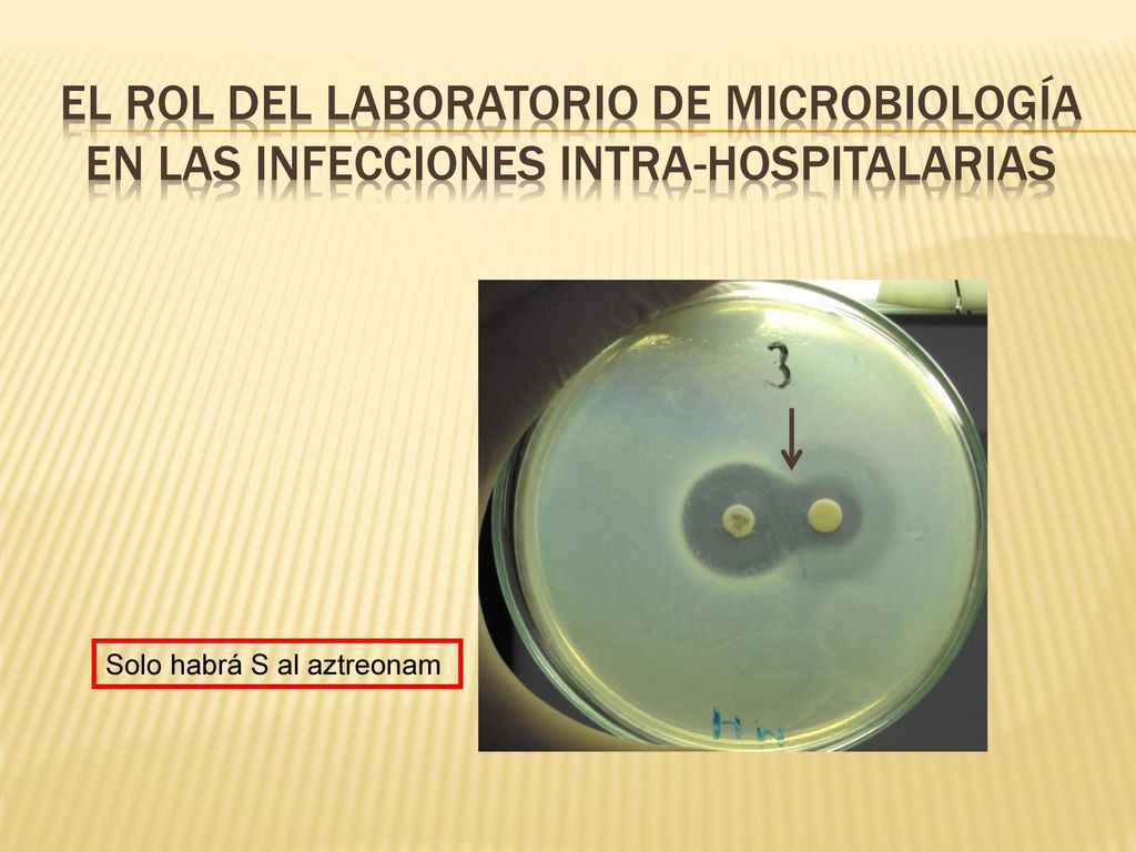 EL ROL DEL LABORATORIO DE MICROBIOLOGÍA en las infecciones intra-hospitalarias
