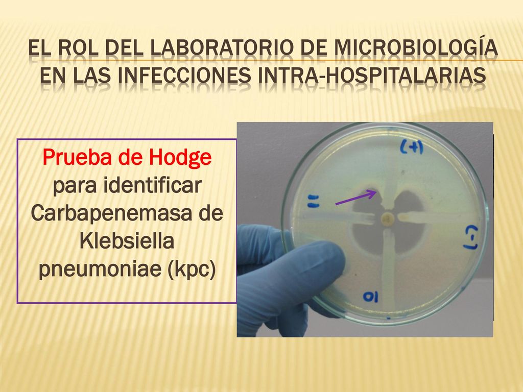EL ROL DEL LABORATORIO DE MICROBIOLOGÍA en las infecciones intra-hospitalarias