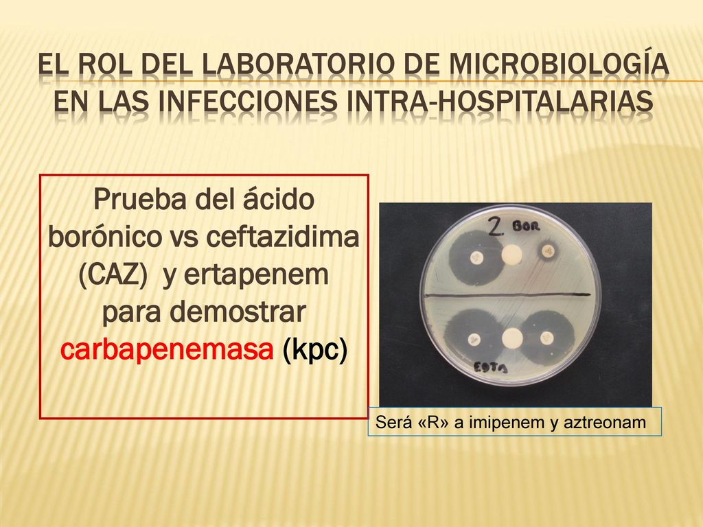 EL ROL DEL LABORATORIO DE MICROBIOLOGÍA en las infecciones intra-hospitalarias
